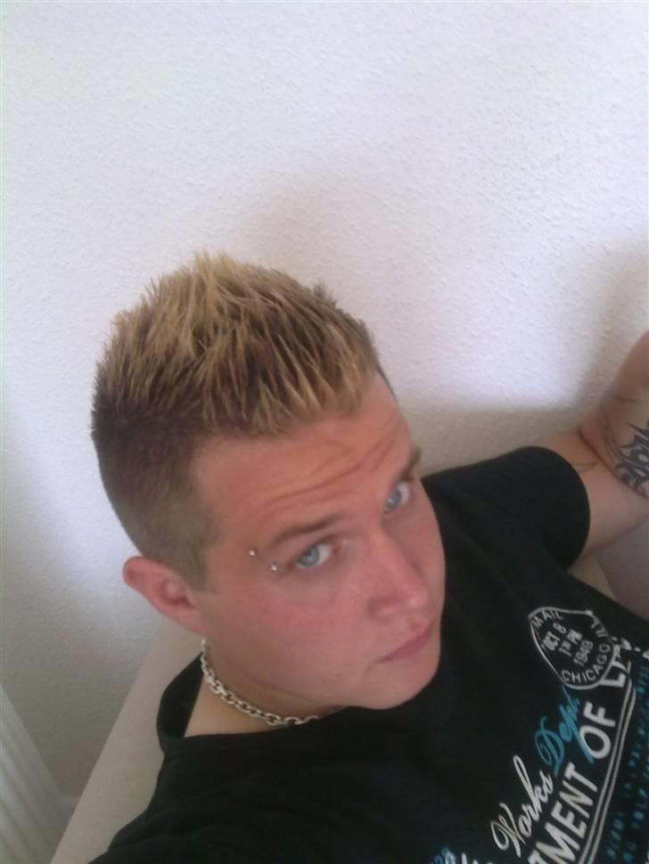 Mand Hamsti billede 1