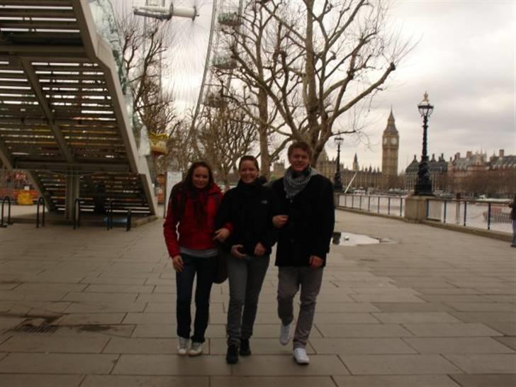 Mand René billede 4