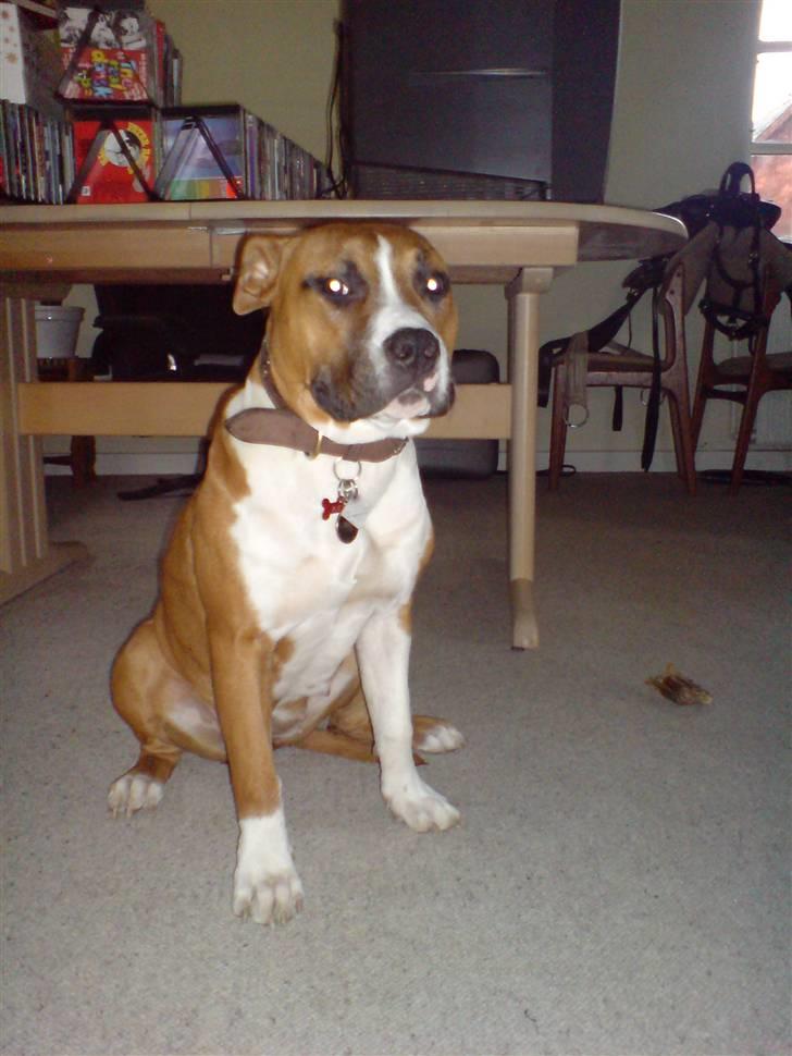 Kvinde Nadja - Min dejlige Asya - Elsker dig min smukke pige :-) billede 10