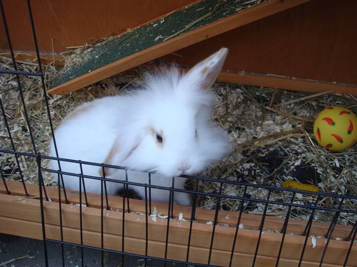 Kvinde Tanja billede 14