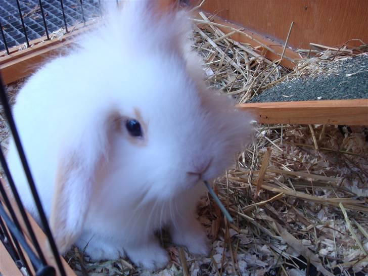 Kvinde Tanja billede 15