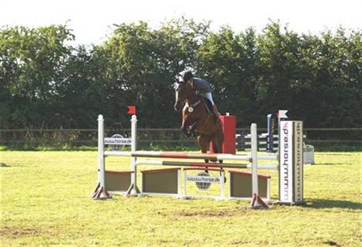 Kvinde Gunilla billede 8