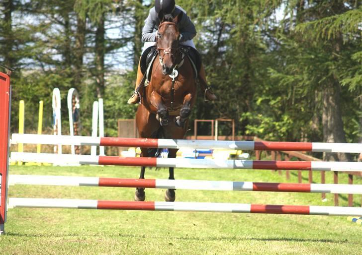 Kvinde Gunilla billede 9