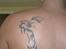 Mand LØVEN - min tattoo og stjerne tegn