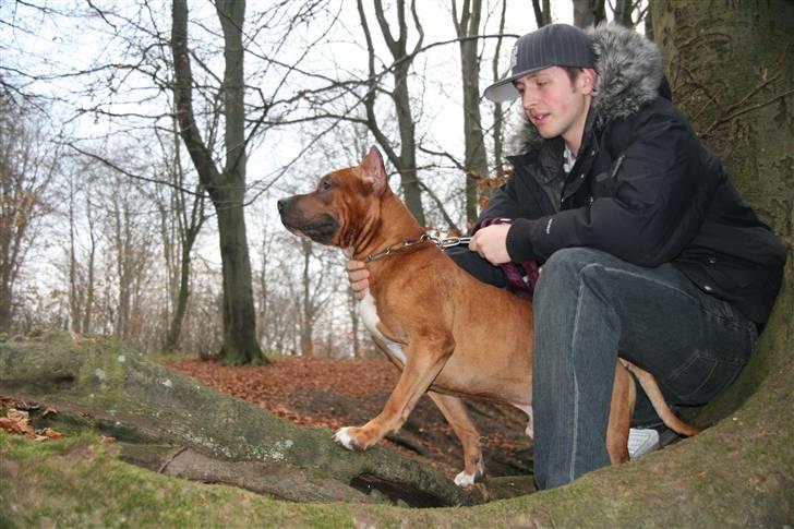 Mand Q - I skoven her med Kobe billede 12