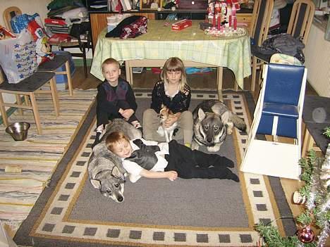 Mand BAD BOY billede 2