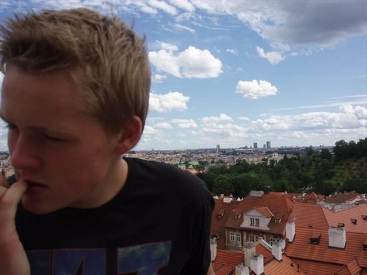 Mand asbjørn billede 1