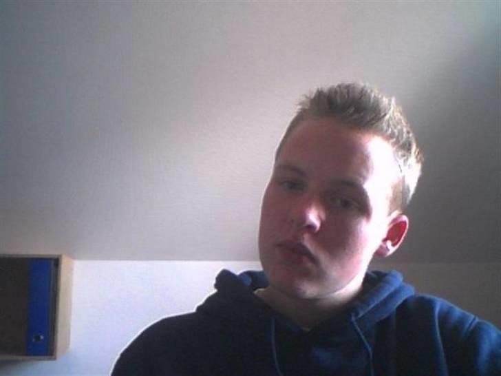 Mand asbjørn billede 2