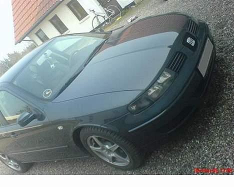 Mand Henrik billede 7