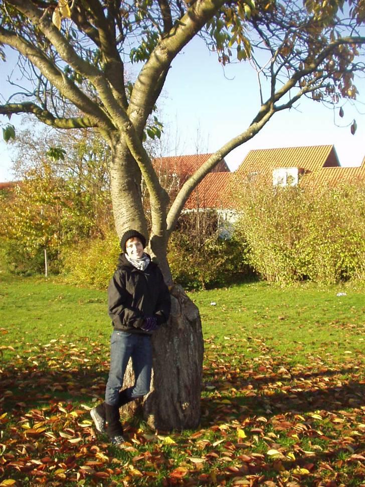 Kvinde Meme billede 1