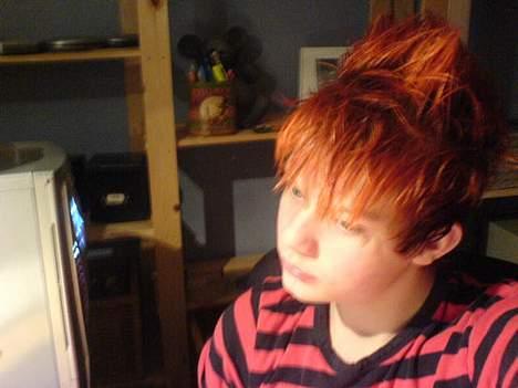 Mand steffen billede 1