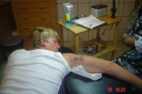 Mand David billede 6