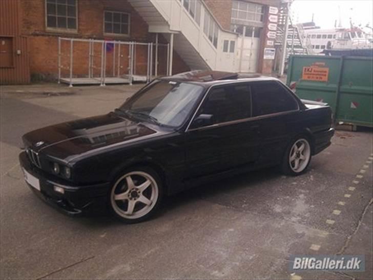 Mand .. - Bimsen aka røgmaskinen;) billede 4