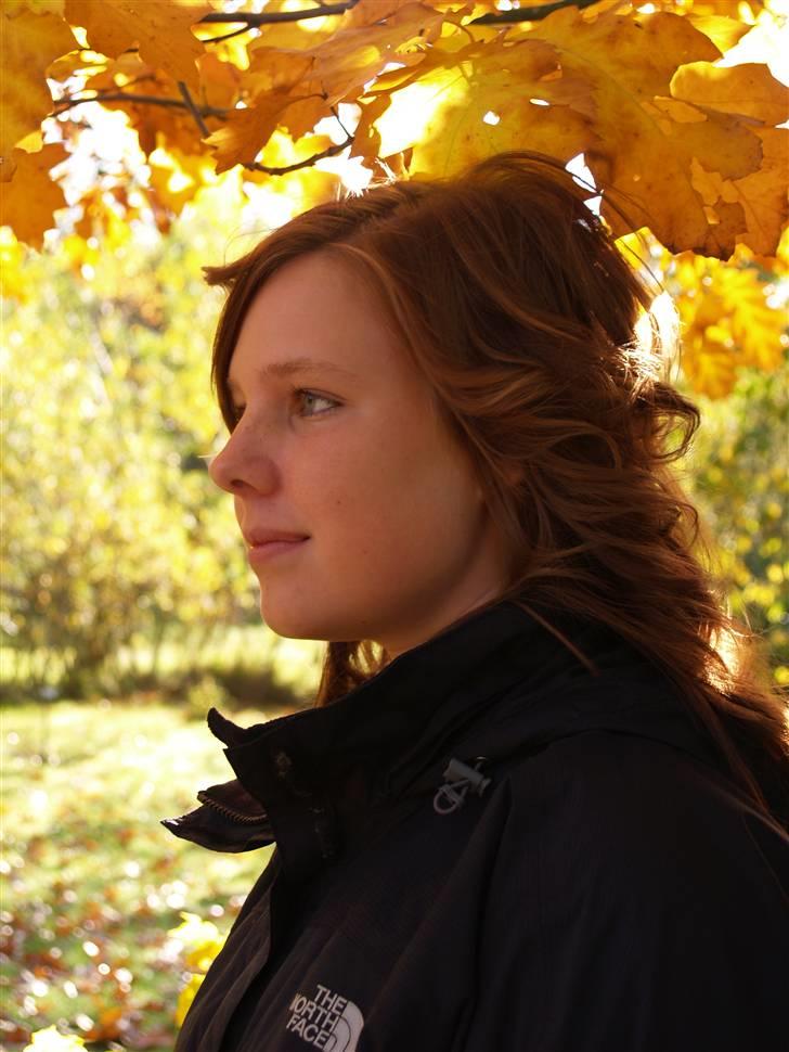 Kvinde Henriette - nyt billede 18