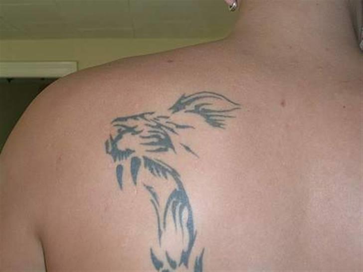 Mand LØVEN - min tattoo og stjerne tegn billede 1