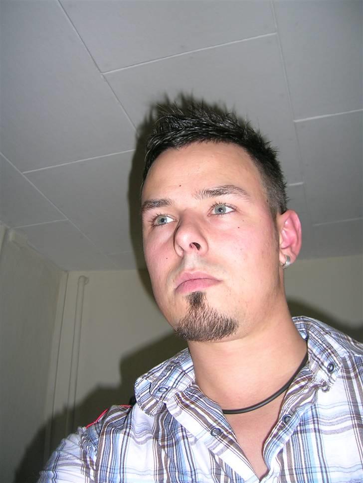 Mand LØVEN billede 4