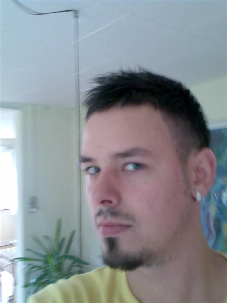 Mand LØVEN billede 6