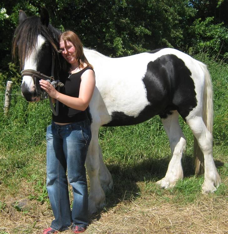 Kvinde Karina - Det er så mig og min Irish cob hingst Kaipo. Taget den 1 juli 2010 billede 8