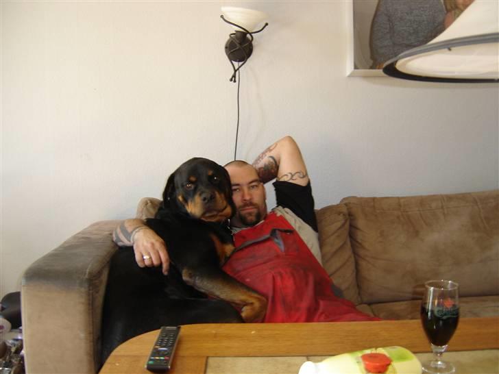 Mand larsen tr1 - fars vagt hund billede 12