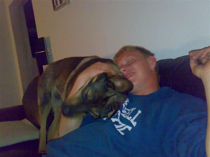 Mand ulrik billede 2