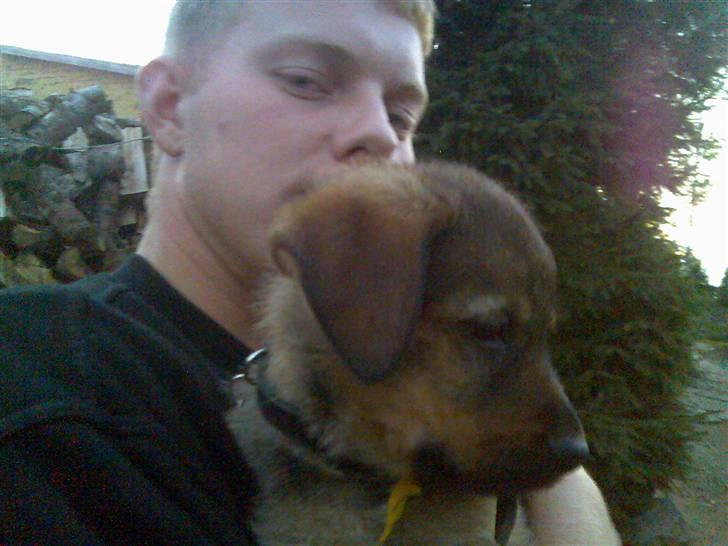 Mand ulrik billede 3