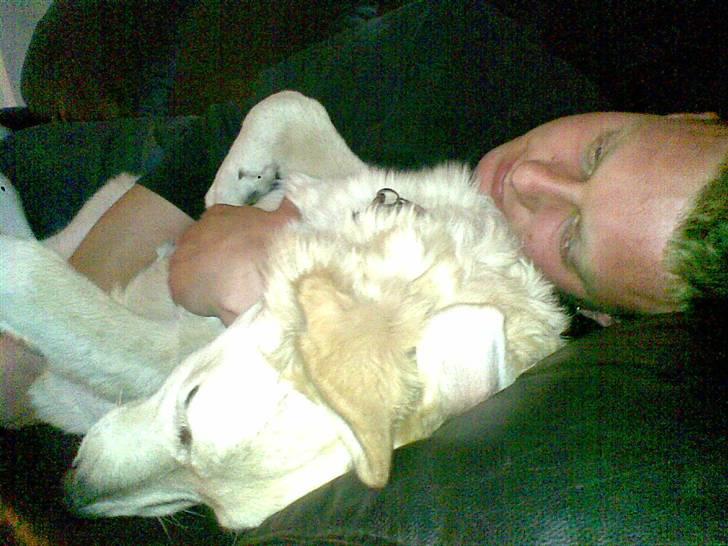 Mand ulrik billede 5