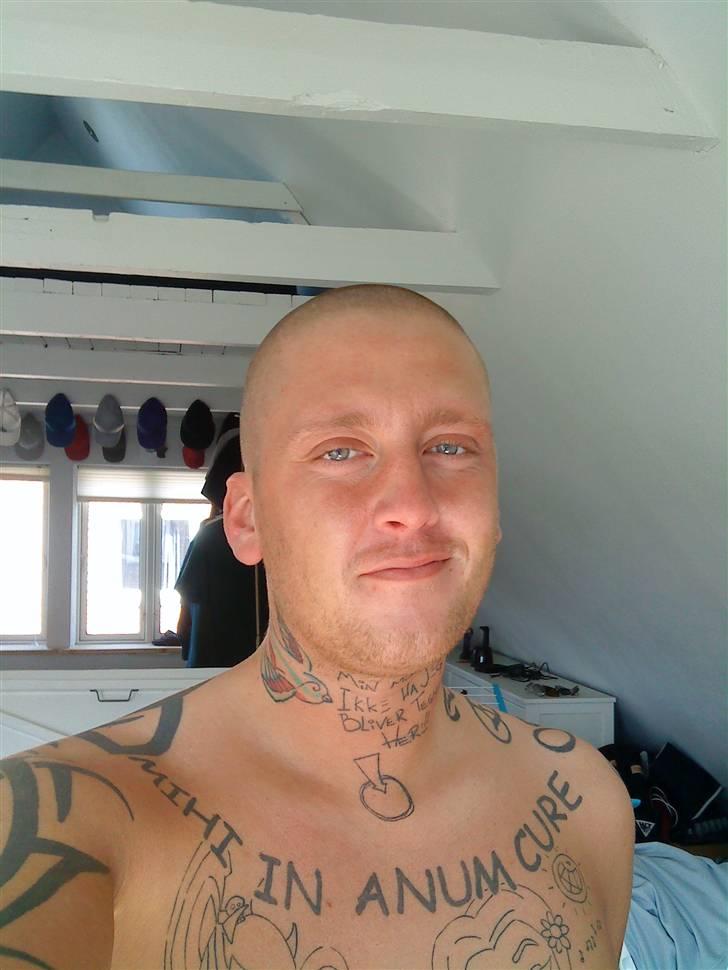 Mand Hedam billede 10