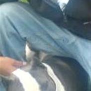 Mand André Corleone