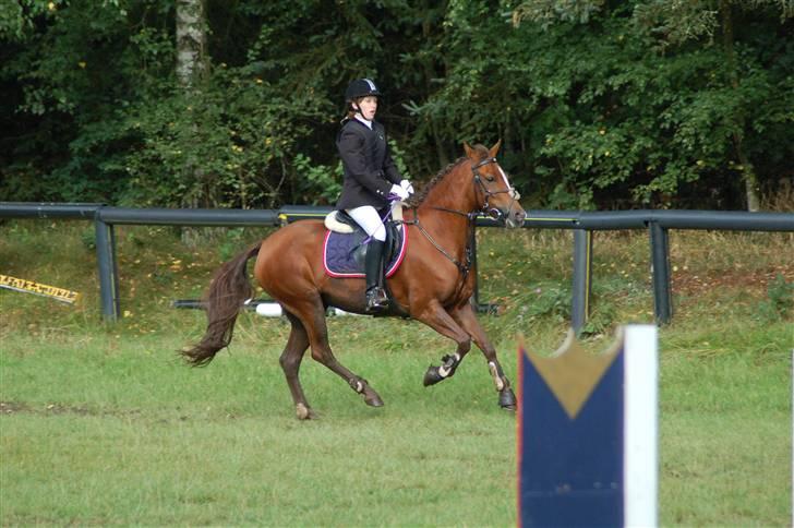 Kvinde Rebecca billede 5