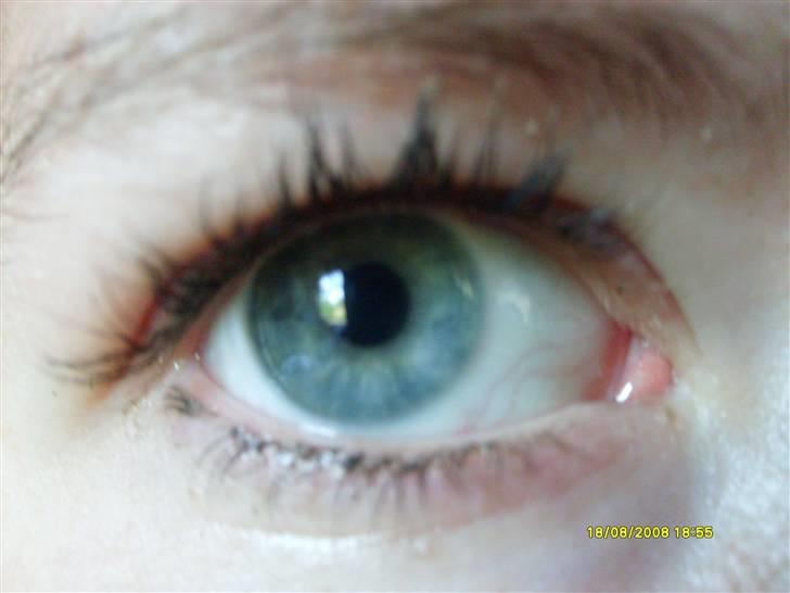 Kvinde Katharina billede 3