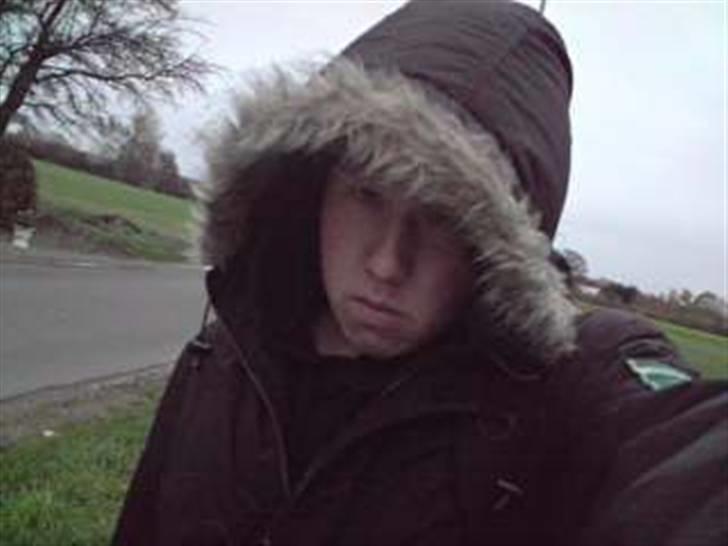 Mand martin  billede 2