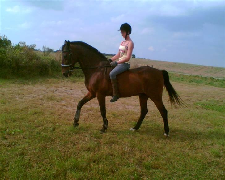 Kvinde Charlotte - Jeg og min afdøde hest... :( billede 14