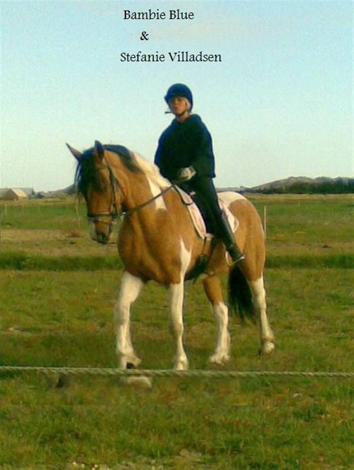 Kvinde Stefanie Krogsgaard - Min drømmehest som jeg desværre skulle sælge  billede 3