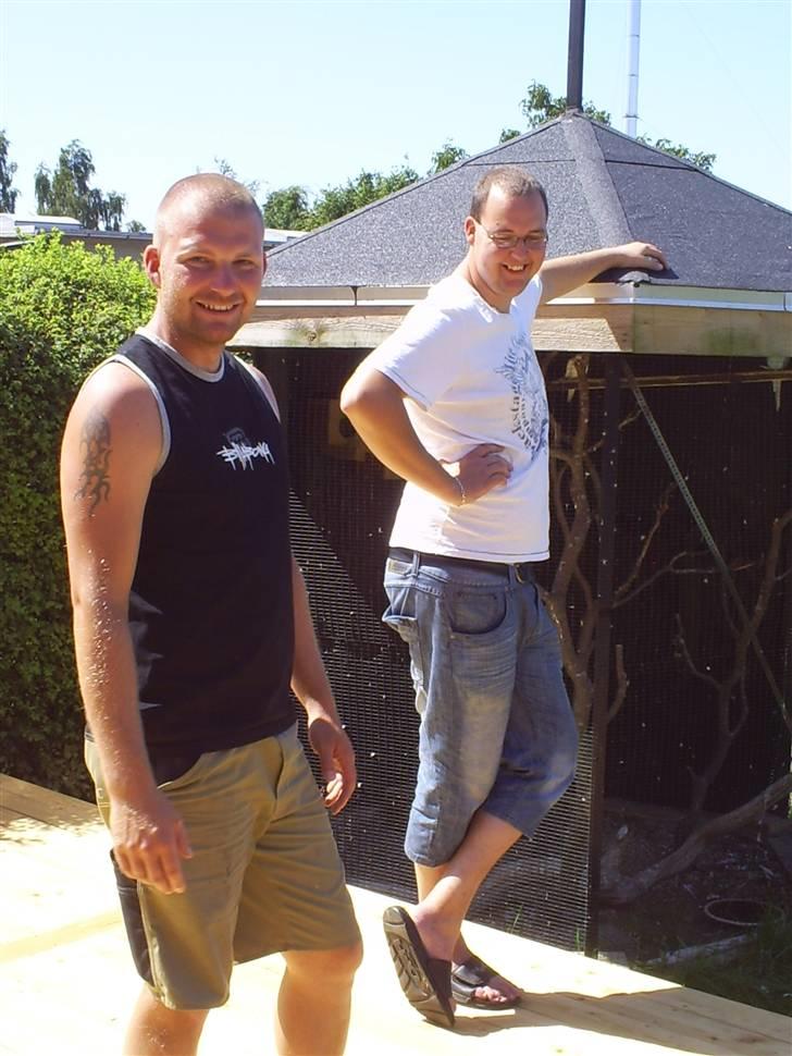 Mand ..X...... billede 5