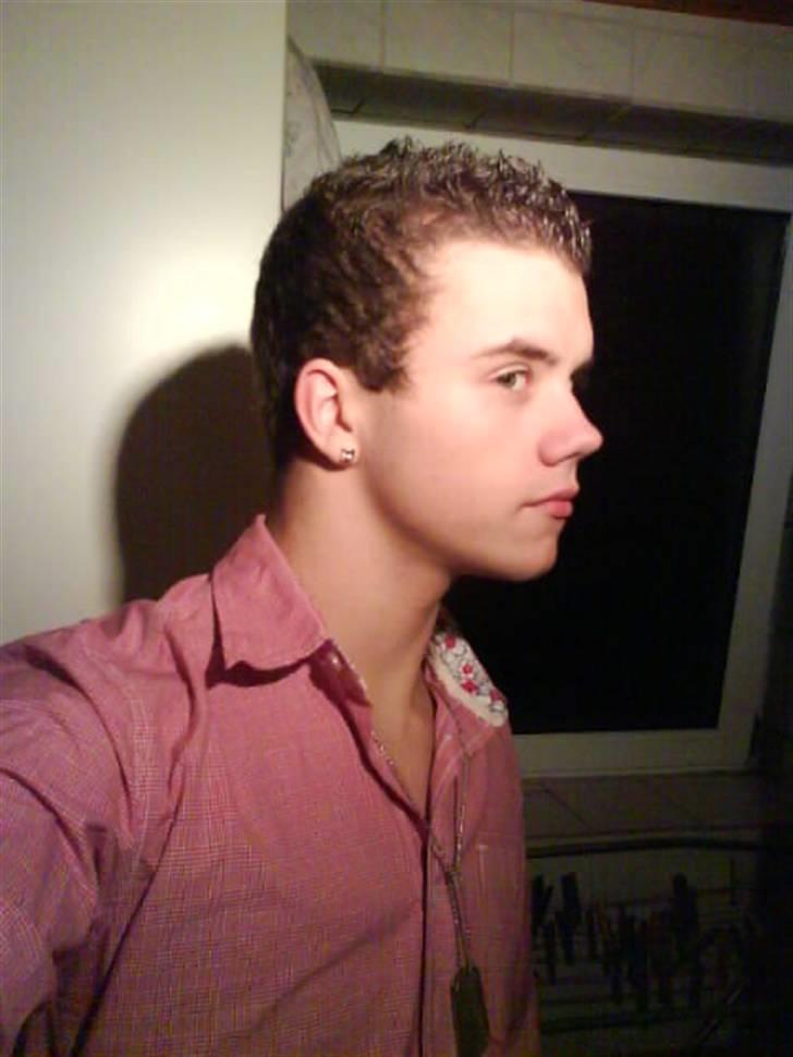 Mand martin - nye :) billede 9