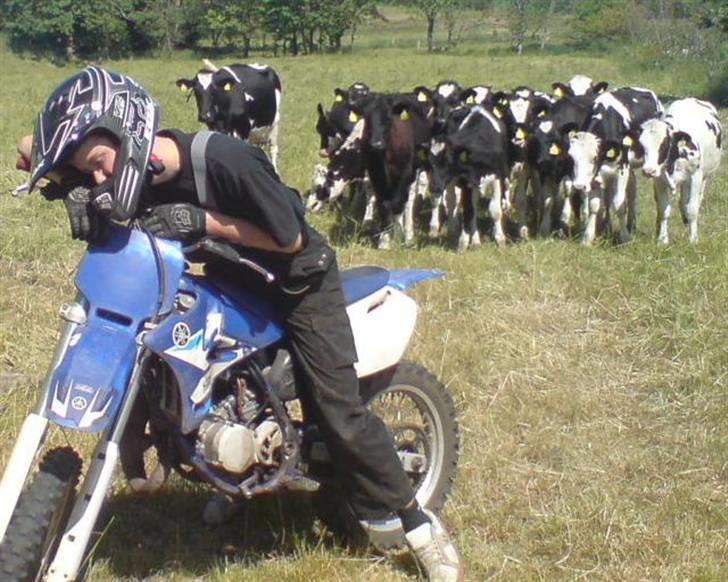 Mand Jacob Matzen billede 2