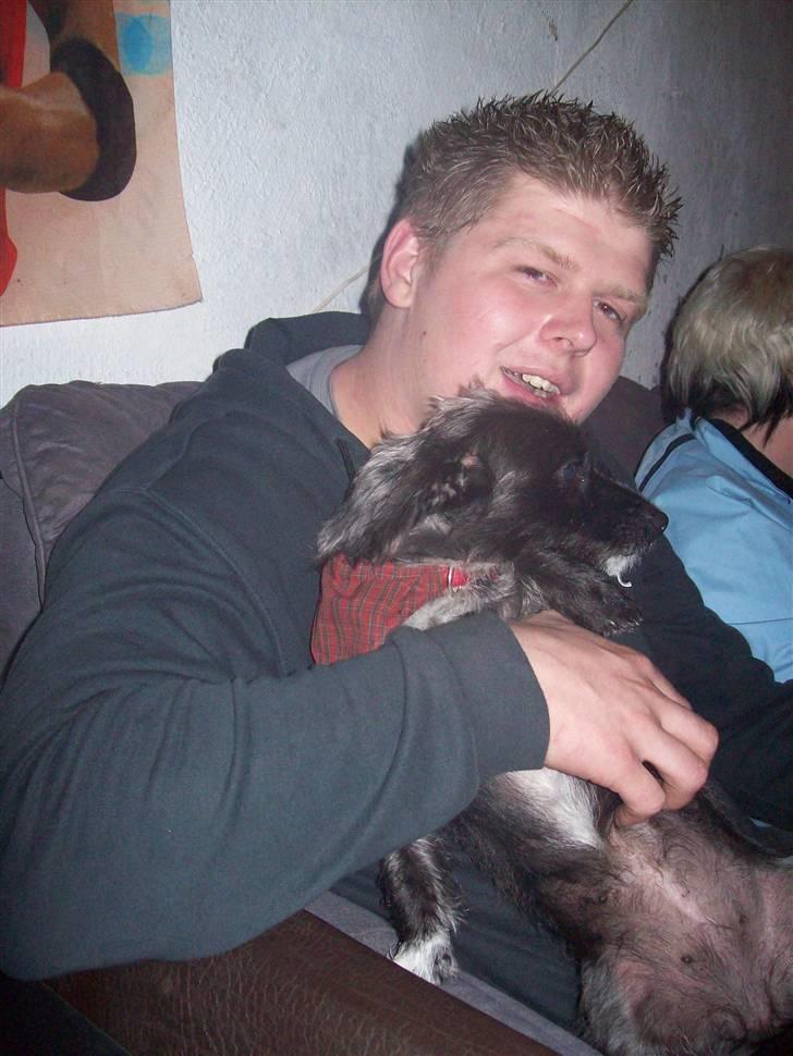 Mand jan - mig og min hund billede 14