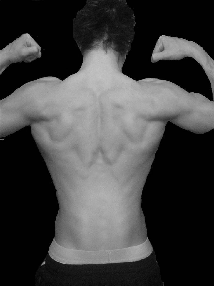 Mand Lunde billede 3