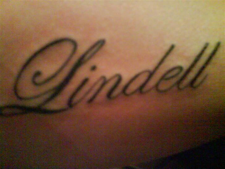 Mand Lindell billede 4