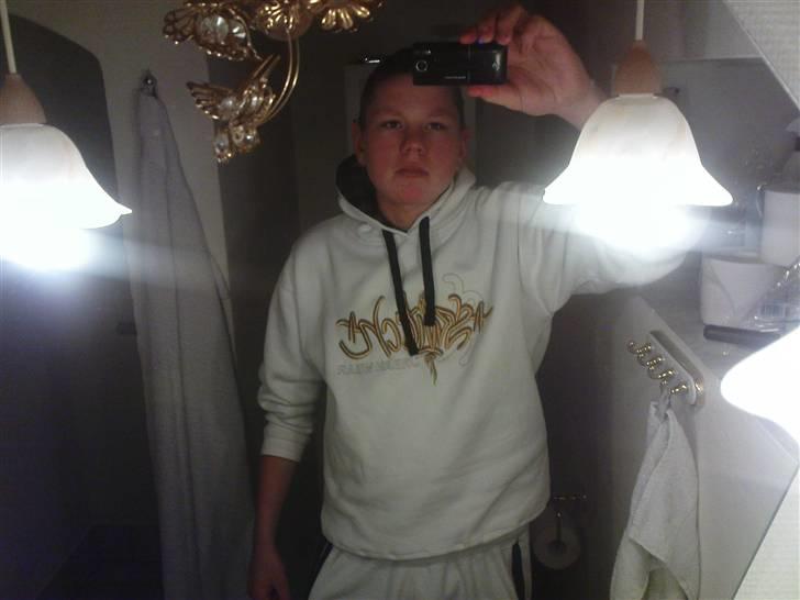 Mand René skov billede 1