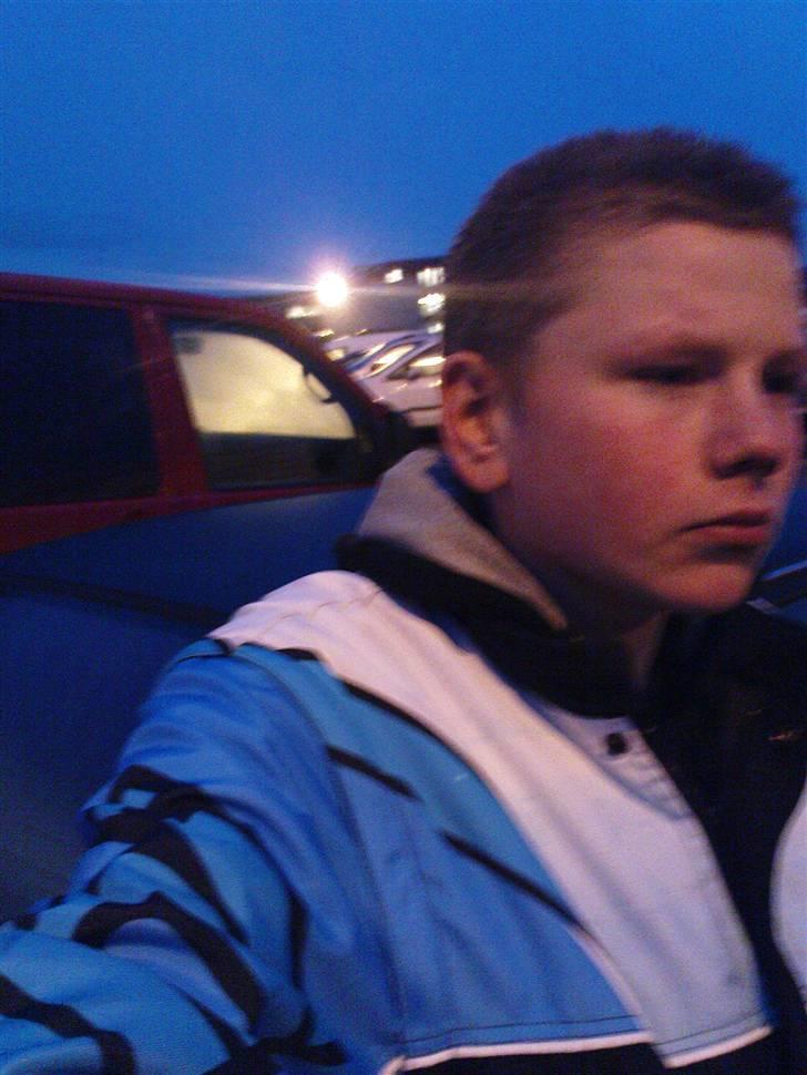 Mand René skov billede 2