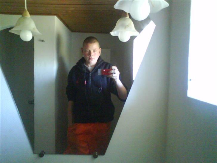 Mand René skov billede 4