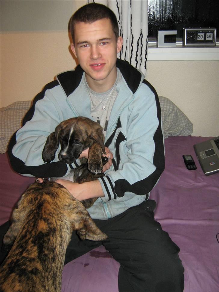 Mand Jesper H - holder min kærestes hund billede 1