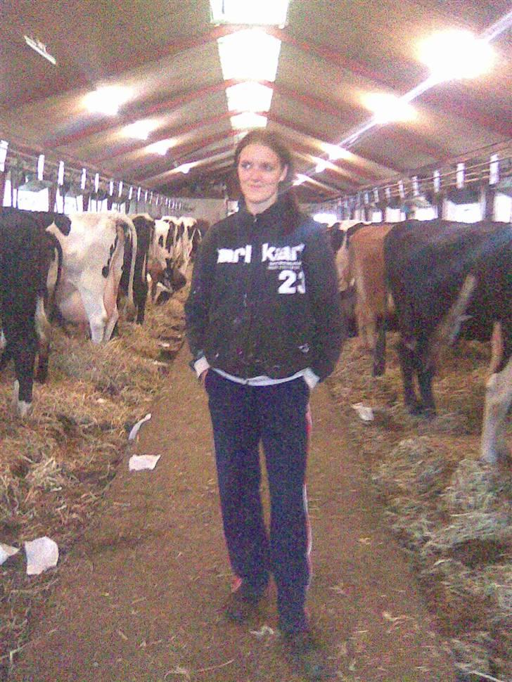 Kvinde heidi billede 7