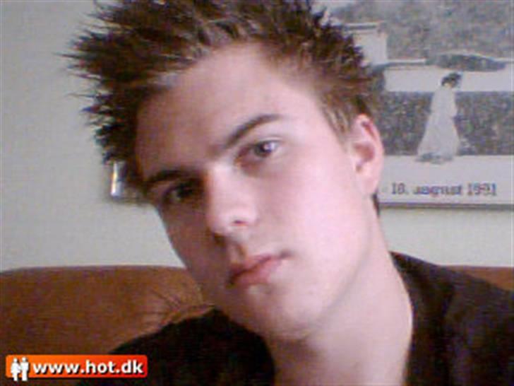 Mand Nicolai billede 4