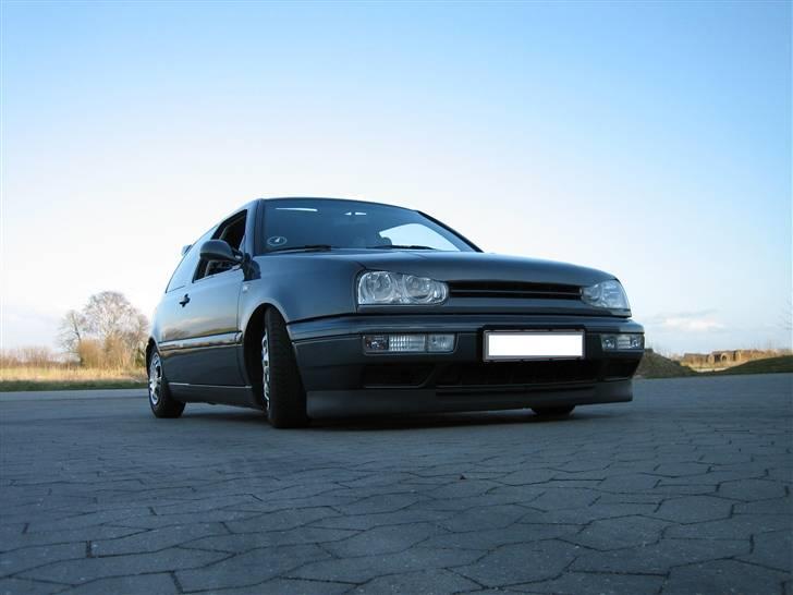 Mand Dennis D billede 5