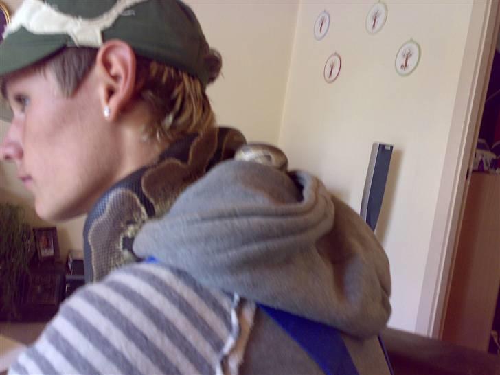 Mand Jimmie Nielsen - gammelt billede billede 5