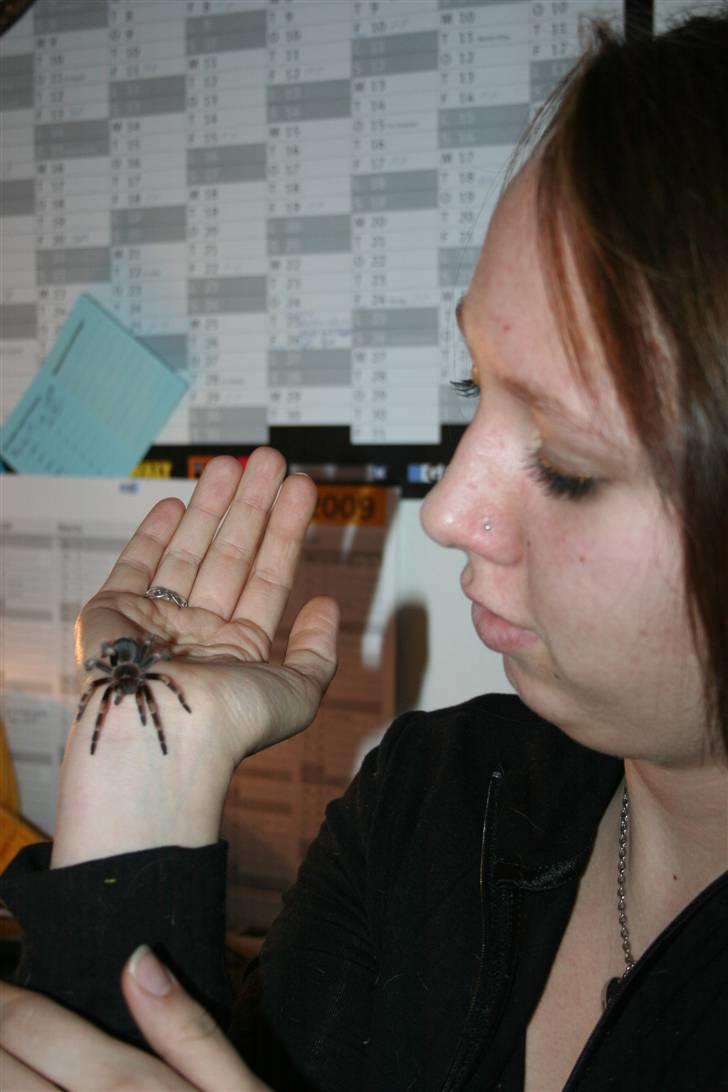Kvinde Diana - mig og min smithi billede 12