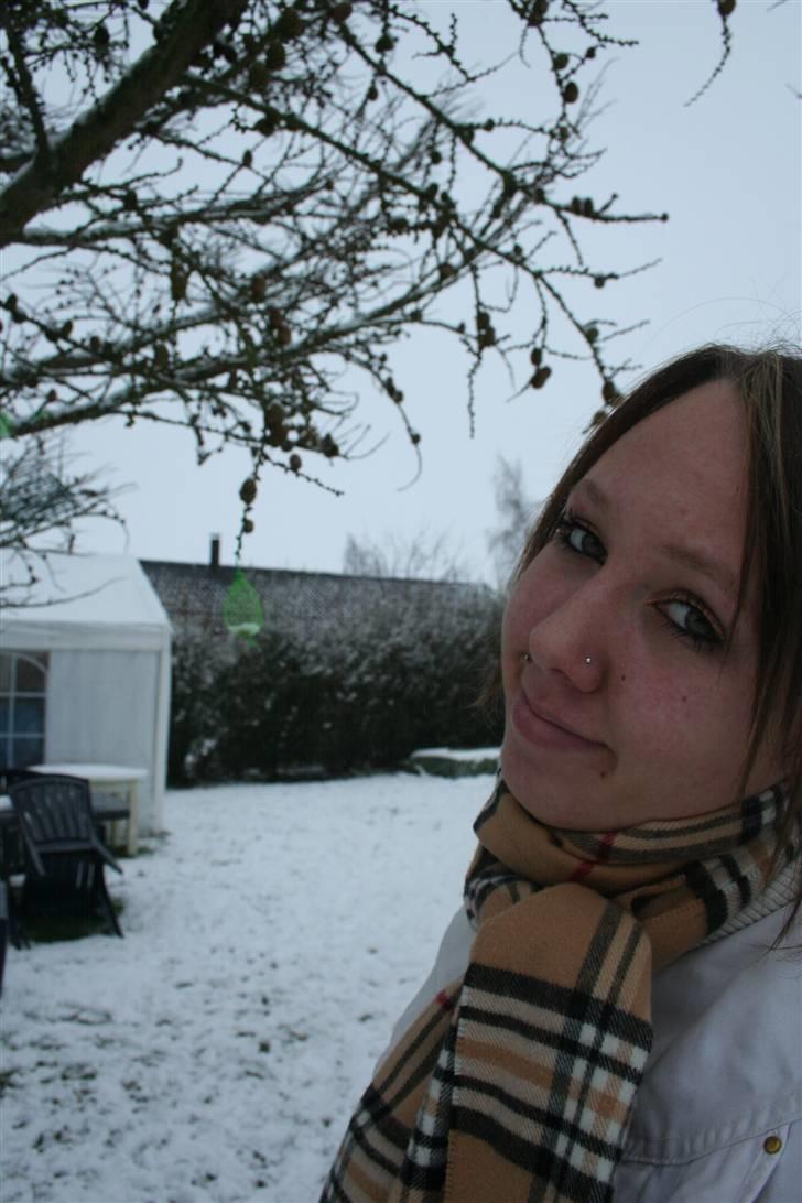 Kvinde Diana billede 14