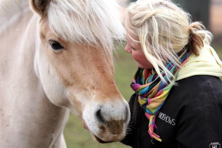 Kvinde Line - Min hest - Holaren billede 6